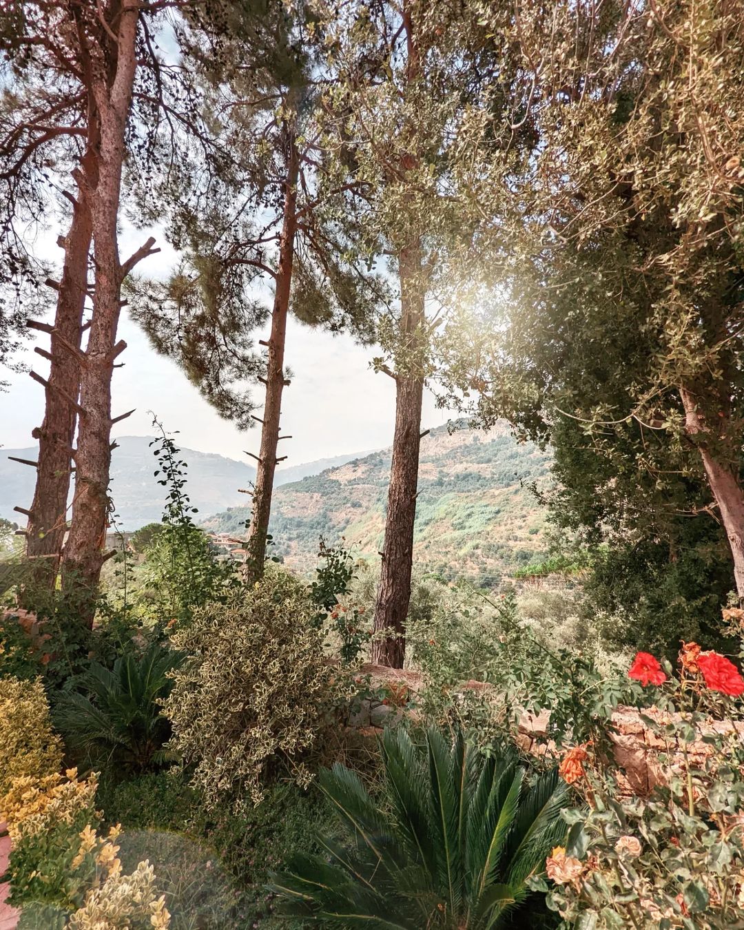 lebanon.rental 331226450 507860691523490 5962927194399629586 n